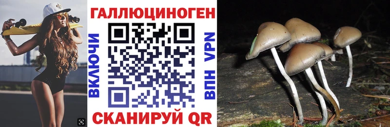 Псилоцибиновые грибы мицелий  Славянск-на-Кубани 