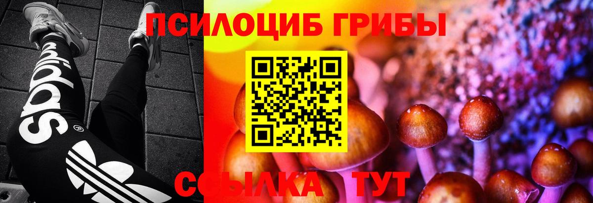 Галлюциногенные грибы ЛСД Славянск-на-Кубани