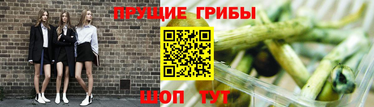 Псилоцибиновые грибы ЛСД  Вход с VPN  Славянск-на-Кубани  Псилоцибиновые грибы мицелий 